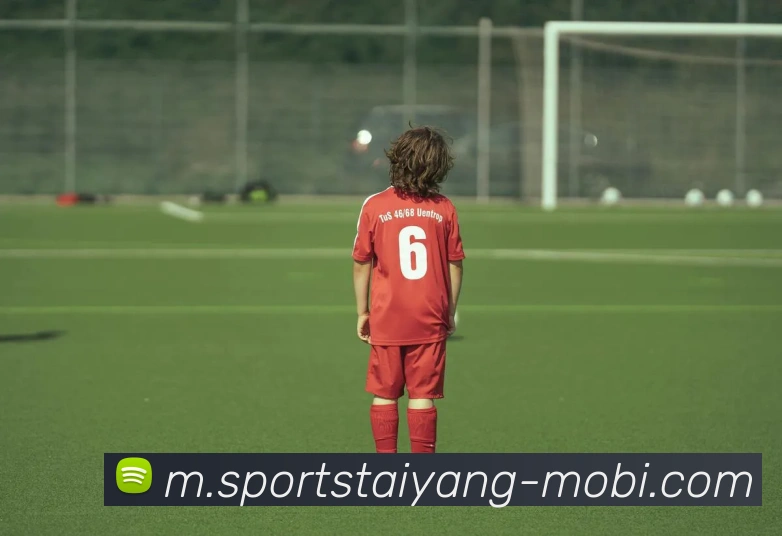 太阳城平台生态图