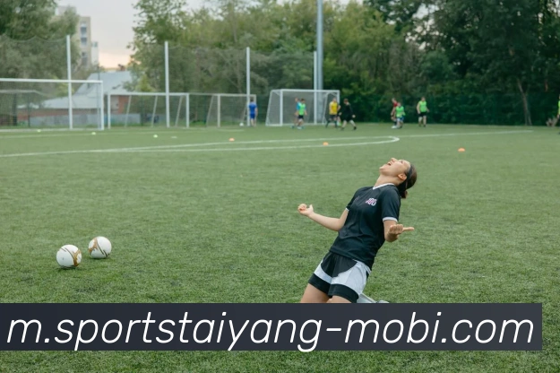 太阳城APP 封面图